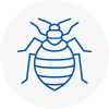 Bed Bug Extermination In Haywards Heath